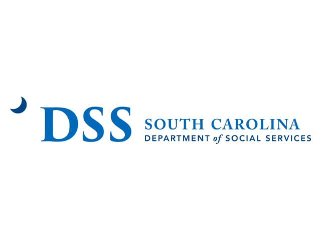 Custom DSS Report Enhances Data Analysis for the State of South Carolina